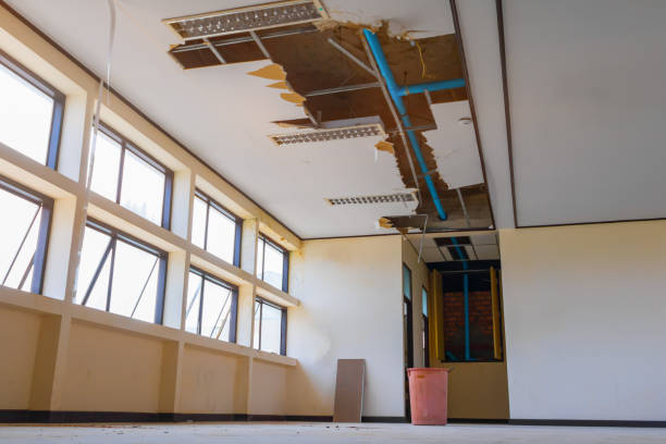 Best Flooded house restoration  in New Haven, WV