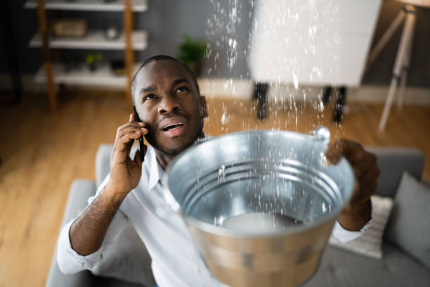 Best Local water damage restoration  in New Haven, WV