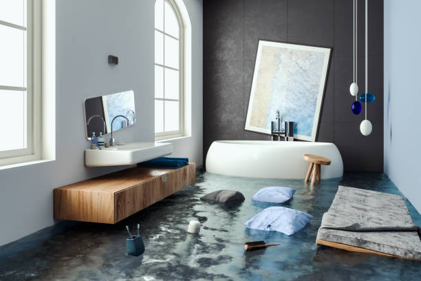 Best 24/7 water damage repair  in New Haven, WV
