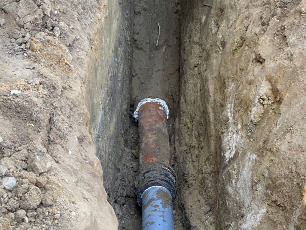 Best Sewage cleanup and water damage restoration  in New Haven, WV