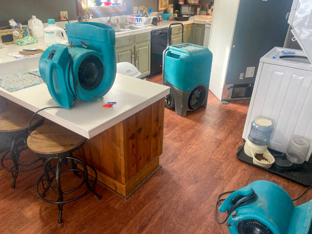 Best Flood damage cleanup  in New Haven, WV