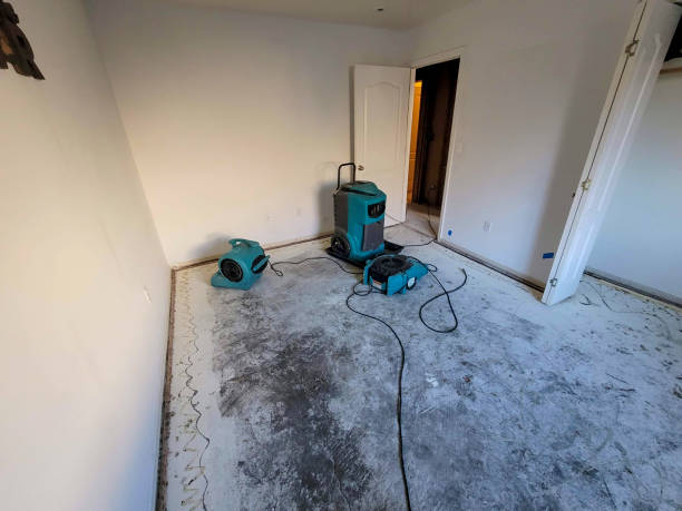 Best Carpet water damage restoration  in New Haven, WV