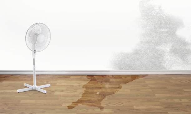  New Haven, WV Water damage restoration Pros