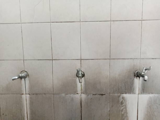  New Haven, WV Water damage restoration Pros