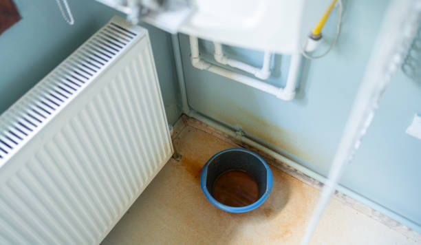 Best Water damage restoration cost  in New Haven, WV