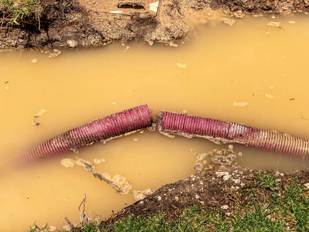 Water damage restoration process in New Haven, WV