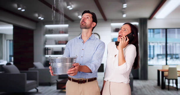 Best Water damage contractors near me  in New Haven, WV