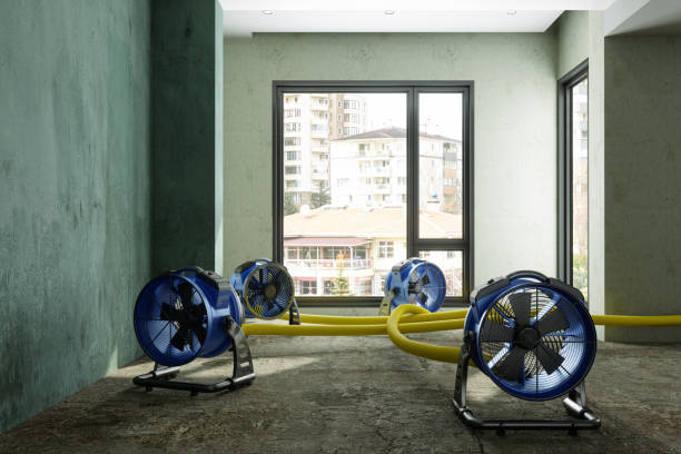 Best Flood restoration services  in New Haven, WV